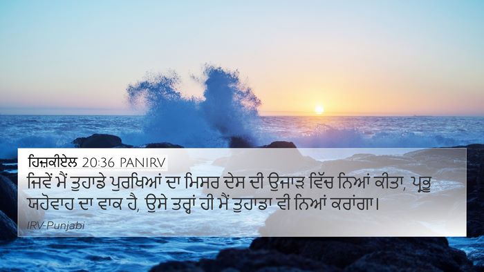 ਹਿਜ਼ਕੀਏਲ 20:36 PANIRV Bible Verse Image