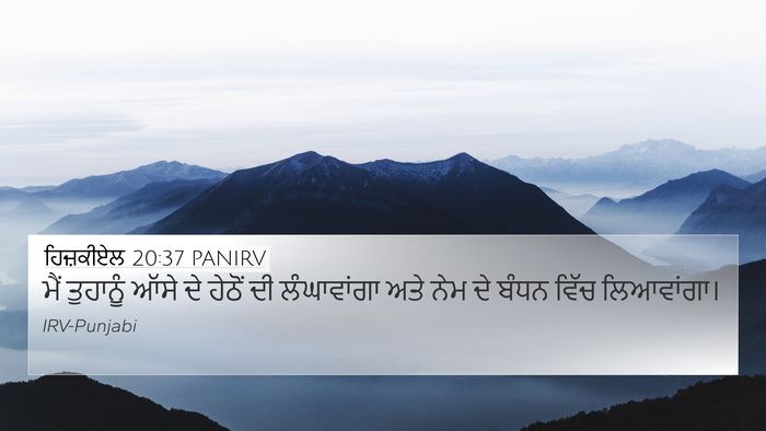 ਹਿਜ਼ਕੀਏਲ 20:37 PANIRV Bible Verse Image