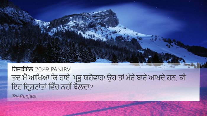 ਹਿਜ਼ਕੀਏਲ 20:49 PANIRV Bible Verse Image