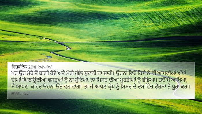ਹਿਜ਼ਕੀਏਲ 20:8 PANIRV Bible Verse Image