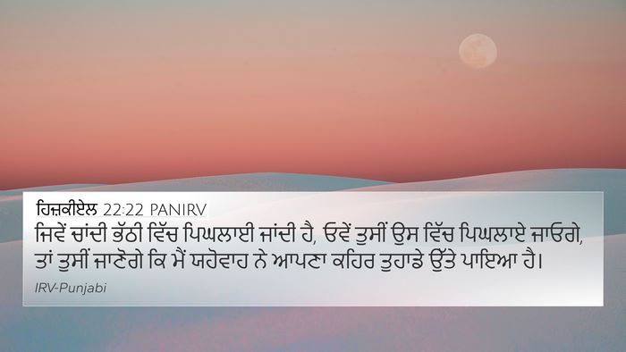 ਹਿਜ਼ਕੀਏਲ 22:22 PANIRV Bible Verse Image