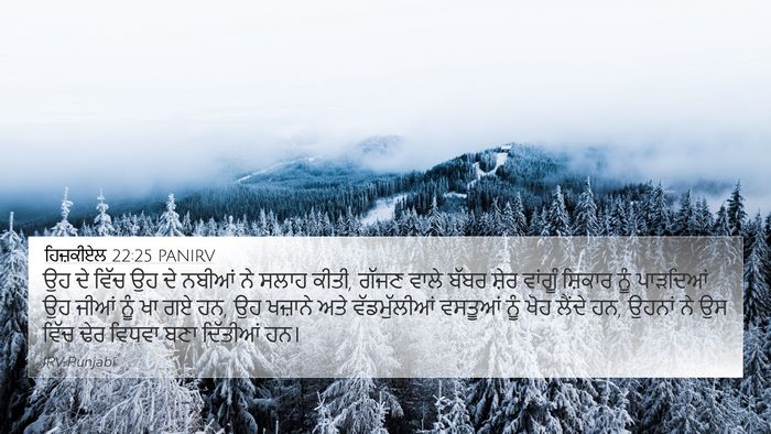 ਹਿਜ਼ਕੀਏਲ 22:25 PANIRV Bible Verse Image