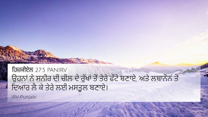 ਹਿਜ਼ਕੀਏਲ 27:5 PANIRV Bible Verse Image
