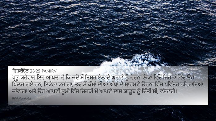 ਹਿਜ਼ਕੀਏਲ 28:25 PANIRV Bible Verse Image