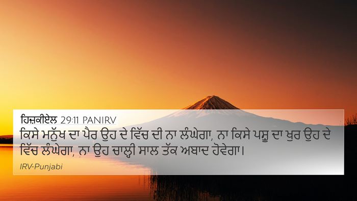ਹਿਜ਼ਕੀਏਲ 29:11 PANIRV Bible Verse Image