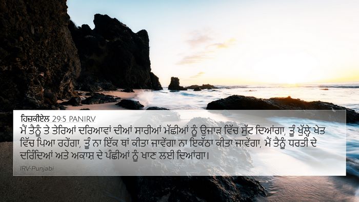 ਹਿਜ਼ਕੀਏਲ 29:5 PANIRV Bible Verse Image