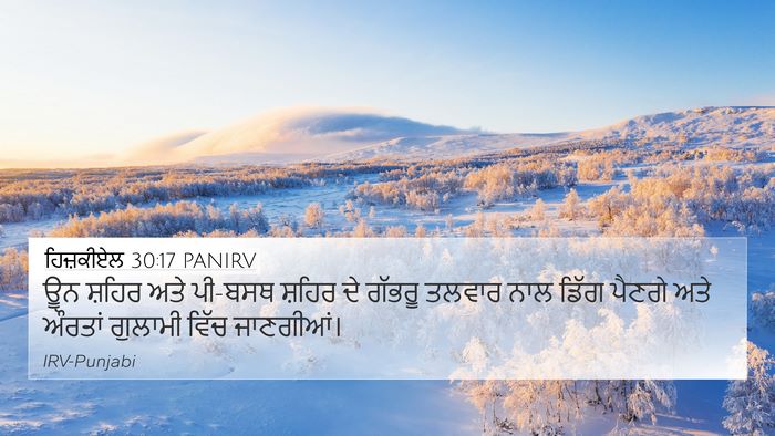 ਹਿਜ਼ਕੀਏਲ 30:17 PANIRV Bible Verse Image