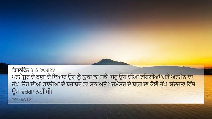 ਹਿਜ਼ਕੀਏਲ 31:8 PANIRV Bible Verse Image