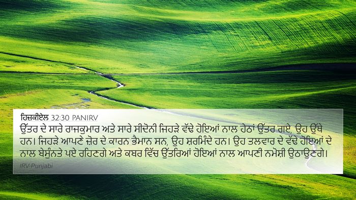 ਹਿਜ਼ਕੀਏਲ 32:30 PANIRV Bible Verse Image