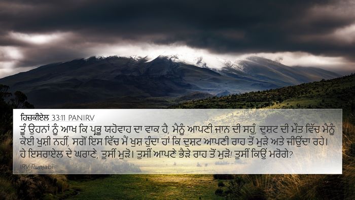 ਹਿਜ਼ਕੀਏਲ 33:11 PANIRV Bible Verse Image