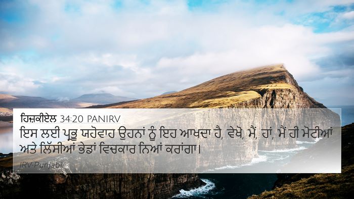 ਹਿਜ਼ਕੀਏਲ 34:20 PANIRV Bible Verse Image