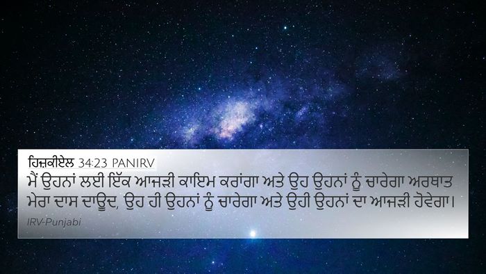 ਹਿਜ਼ਕੀਏਲ 34:23 PANIRV Bible Verse Image