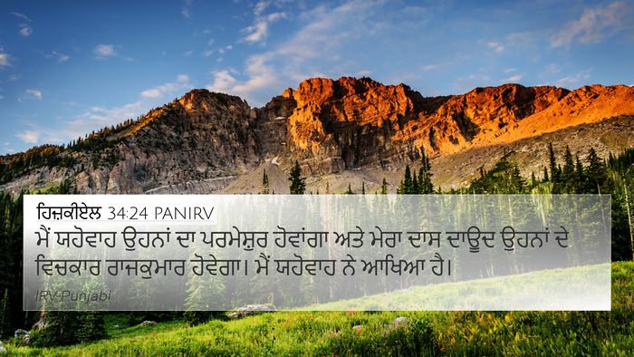 ਹਿਜ਼ਕੀਏਲ 34:24 PANIRV Bible Verse Image