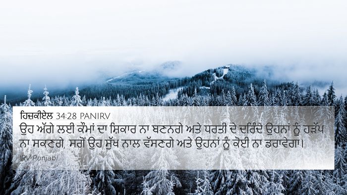 ਹਿਜ਼ਕੀਏਲ 34:28 PANIRV Bible Verse Image