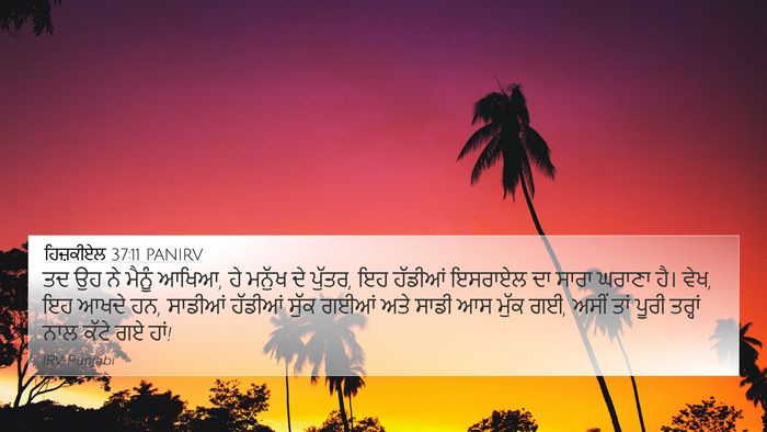 ਹਿਜ਼ਕੀਏਲ 37:11 PANIRV Bible Verse Image