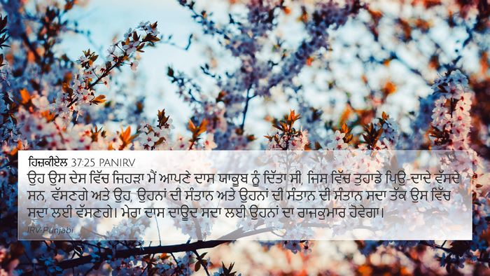 ਹਿਜ਼ਕੀਏਲ 37:25 PANIRV Bible Verse Image