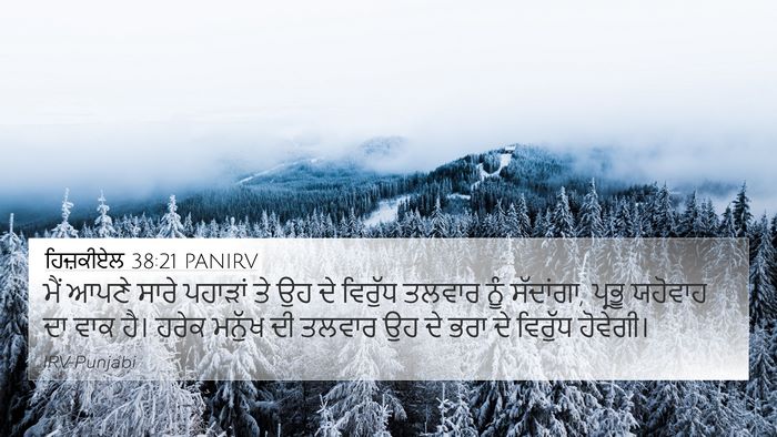ਹਿਜ਼ਕੀਏਲ 38:21 PANIRV Bible Verse Image