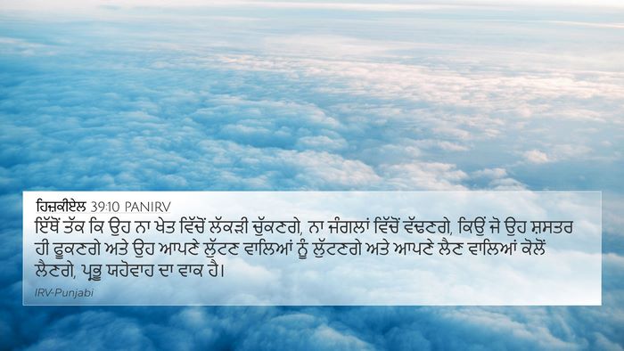 ਹਿਜ਼ਕੀਏਲ 39:10 PANIRV Bible Verse Image