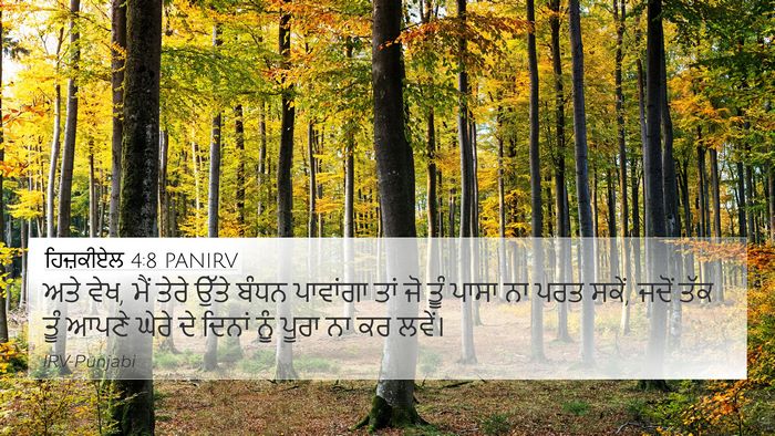ਹਿਜ਼ਕੀਏਲ 4:8 PANIRV Bible Verse Image