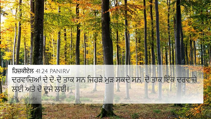 ਹਿਜ਼ਕੀਏਲ 41:24 PANIRV 4K Wallpaper - ਦਰਵਾਜ਼ਿਆਂ ਦੇ ਦੋ-ਦੋ - 4K Wallpaper Bible Verse