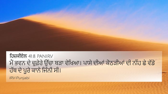 ਹਿਜ਼ਕੀਏਲ 41:8 PANIRV Bible Verse Image