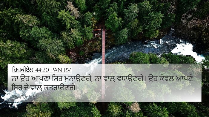 ਹਿਜ਼ਕੀਏਲ 44:20 PANIRV Bible Verse Image