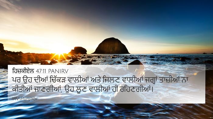 ਹਿਜ਼ਕੀਏਲ 47:11 PANIRV Bible Verse Image
