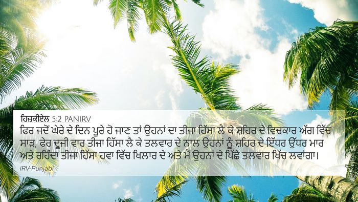 ਹਿਜ਼ਕੀਏਲ 5:2 PANIRV Bible Verse Image