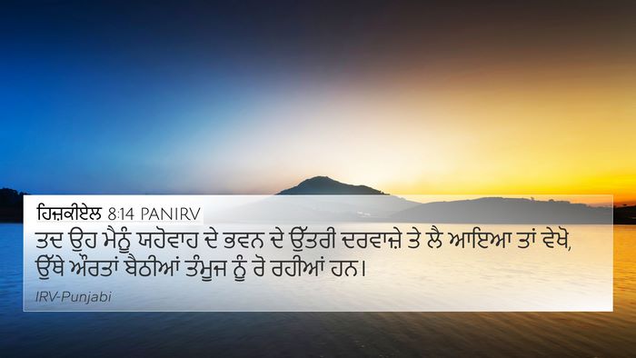 ਹਿਜ਼ਕੀਏਲ 8:14 PANIRV Bible Verse Image