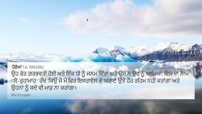 ਹੋਸ਼ੇਆ 1:6 PANIRV Bible Verse Image