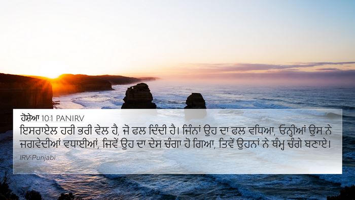 ਹੋਸ਼ੇਆ 10:1 PANIRV Bible Verse Image