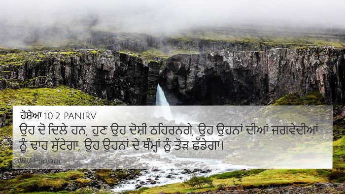 ਹੋਸ਼ੇਆ 10:2 PANIRV Bible Verse Image