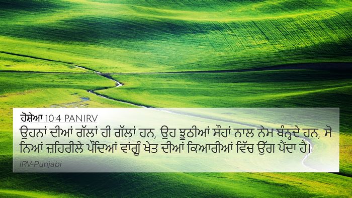 ਹੋਸ਼ੇਆ 10:4 PANIRV Bible Verse Image