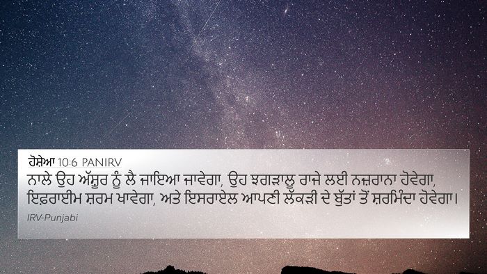 ਹੋਸ਼ੇਆ 10:6 PANIRV Bible Verse Image