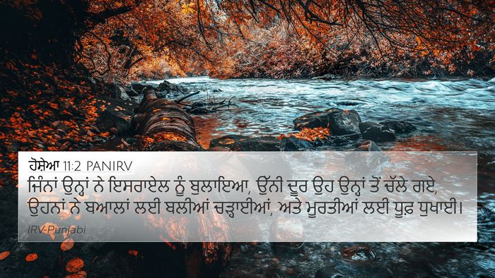 ਹੋਸ਼ੇਆ 11:2 PANIRV Bible Verse Image