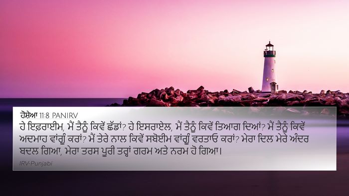 ਹੋਸ਼ੇਆ 11:8 PANIRV Bible Verse Image
