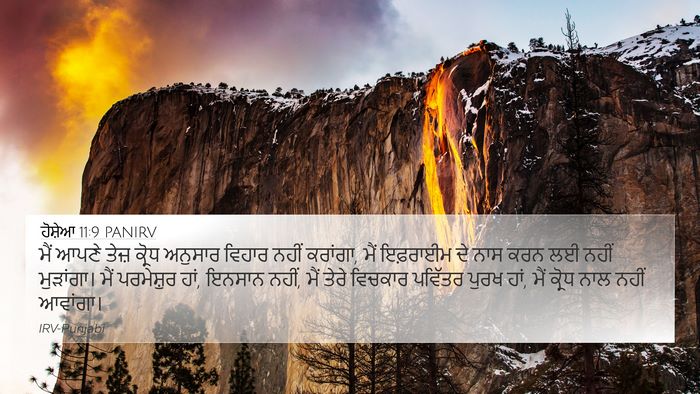 ਹੋਸ਼ੇਆ 11:9 PANIRV Bible Verse Image