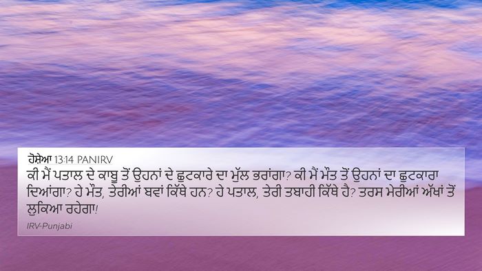 ਹੋਸ਼ੇਆ 13:14 PANIRV Bible Verse Image
