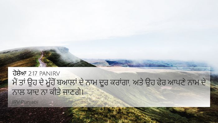 ਹੋਸ਼ੇਆ 2:17 PANIRV 4K Wallpaper - ਮੈਂ ਤਾਂ ਉਹ ਦੇ - 4K Wallpaper Bible Verse