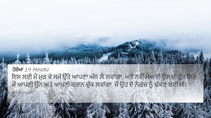 ਹੋਸ਼ੇਆ 2:9 PANIRV Bible Verse Image
