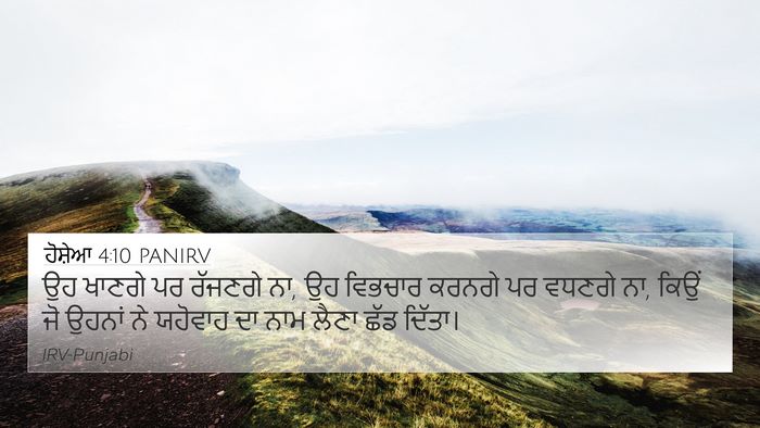ਹੋਸ਼ੇਆ 4:10 PANIRV Bible Verse Image