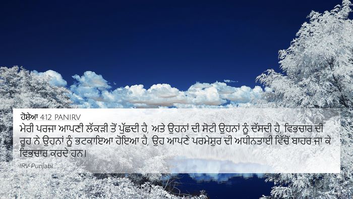 ਹੋਸ਼ੇਆ 4:12 PANIRV Bible Verse Image