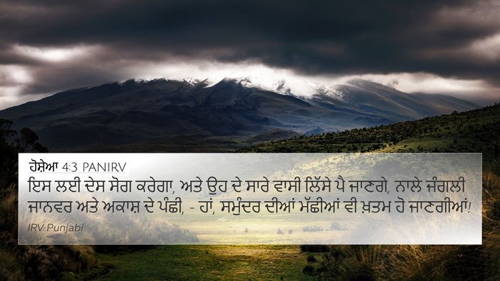 ਹੋਸ਼ੇਆ 4:3 PANIRV Bible Verse Image