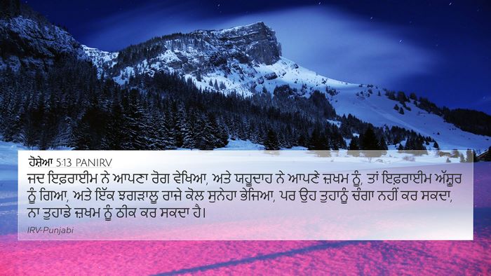 ਹੋਸ਼ੇਆ 5:13 PANIRV Bible Verse Image