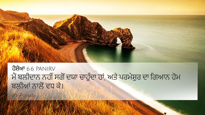 ਹੋਸ਼ੇਆ 6:6 PANIRV Bible Verse Image