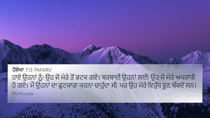 ਹੋਸ਼ੇਆ 7:13 PANIRV Bible Verse Image
