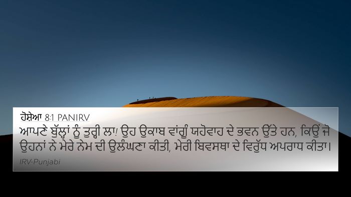 ਹੋਸ਼ੇਆ 8:1 PANIRV Bible Verse Image