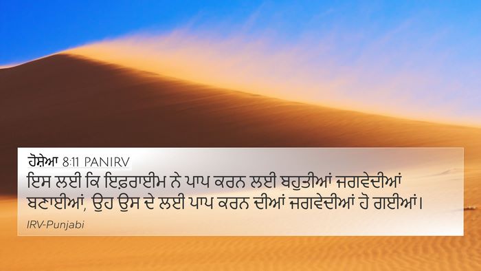 ਹੋਸ਼ੇਆ 8:11 PANIRV Bible Verse Image