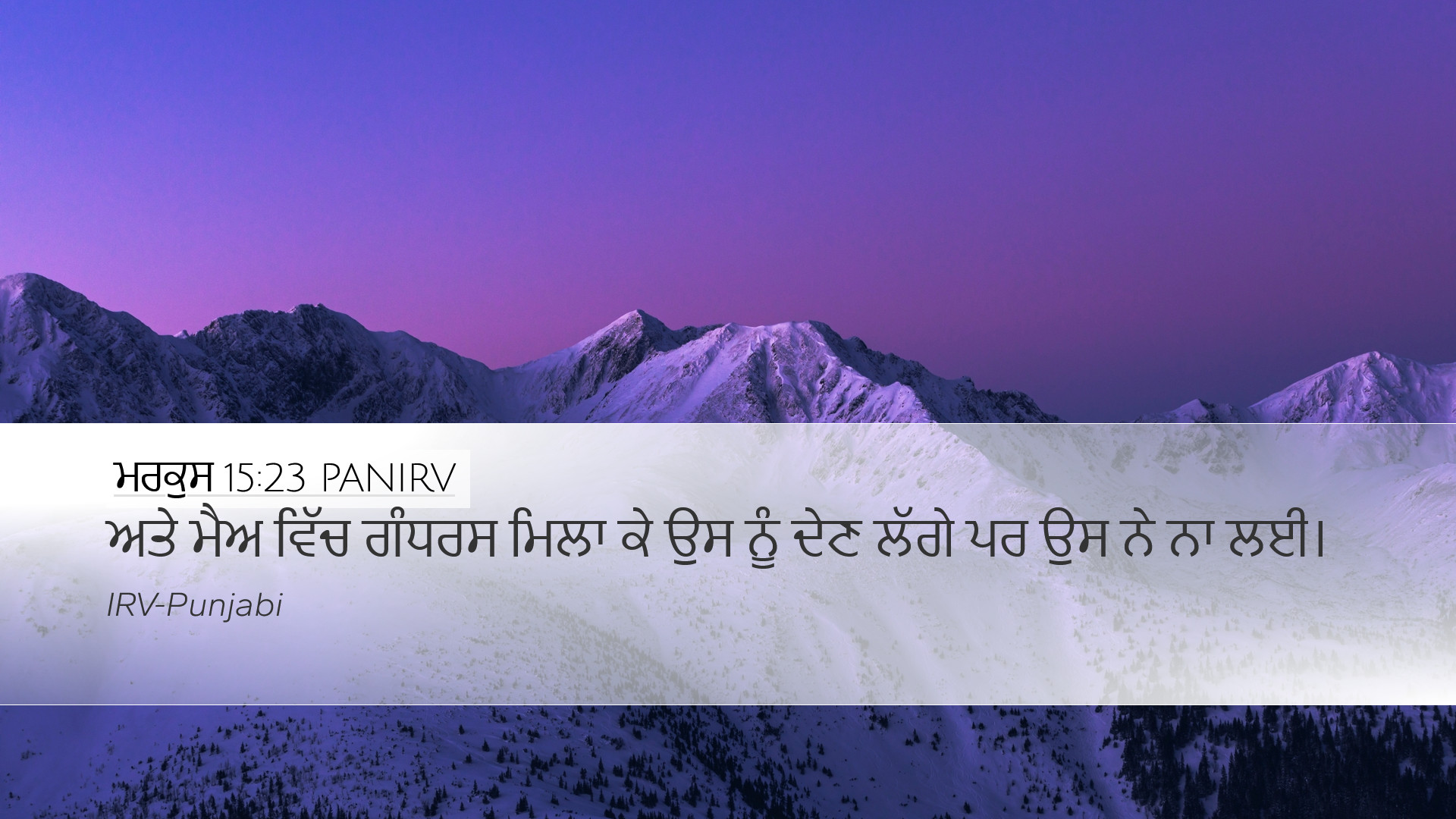 ਮਰਕੁਸ 15:23 PANIRV Desktop Wallpaper - ਅਤੇ ਮੈਅ ਵਿੱਚ ਗੰਧਰਸ