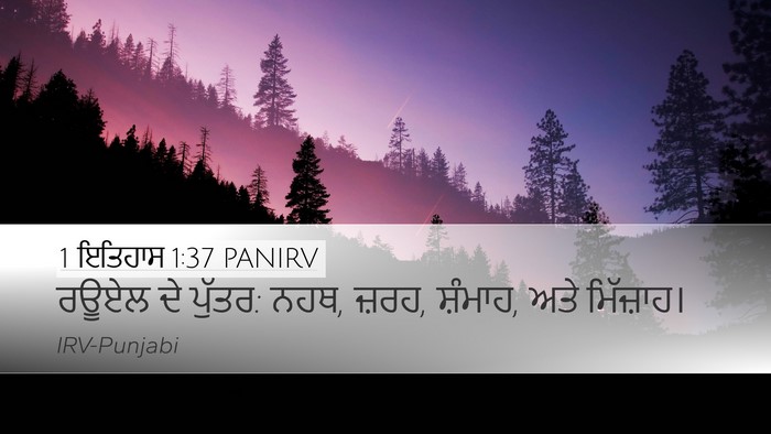 1 ਇਤਿਹਾਸ 1:37 PANIRV Desktop Wallpaper - ਰਊਏਲ ਦੇ ਪੁੱਤਰ: ਨਹਥ, - Desktop Bible Verse Wallpaper